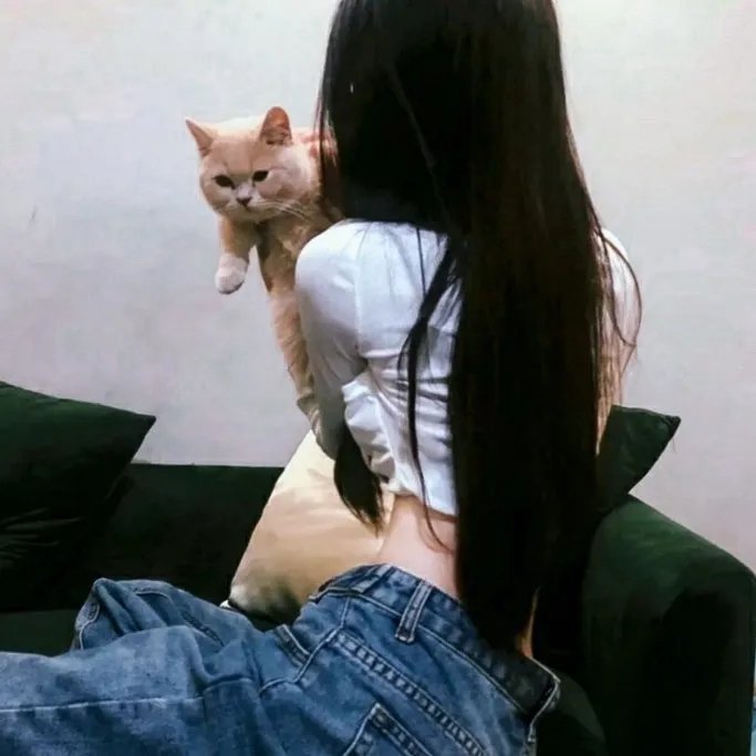 无为大师第三季